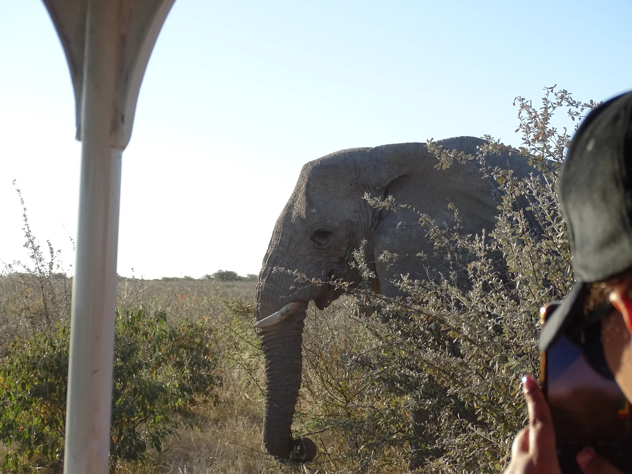 Etosha