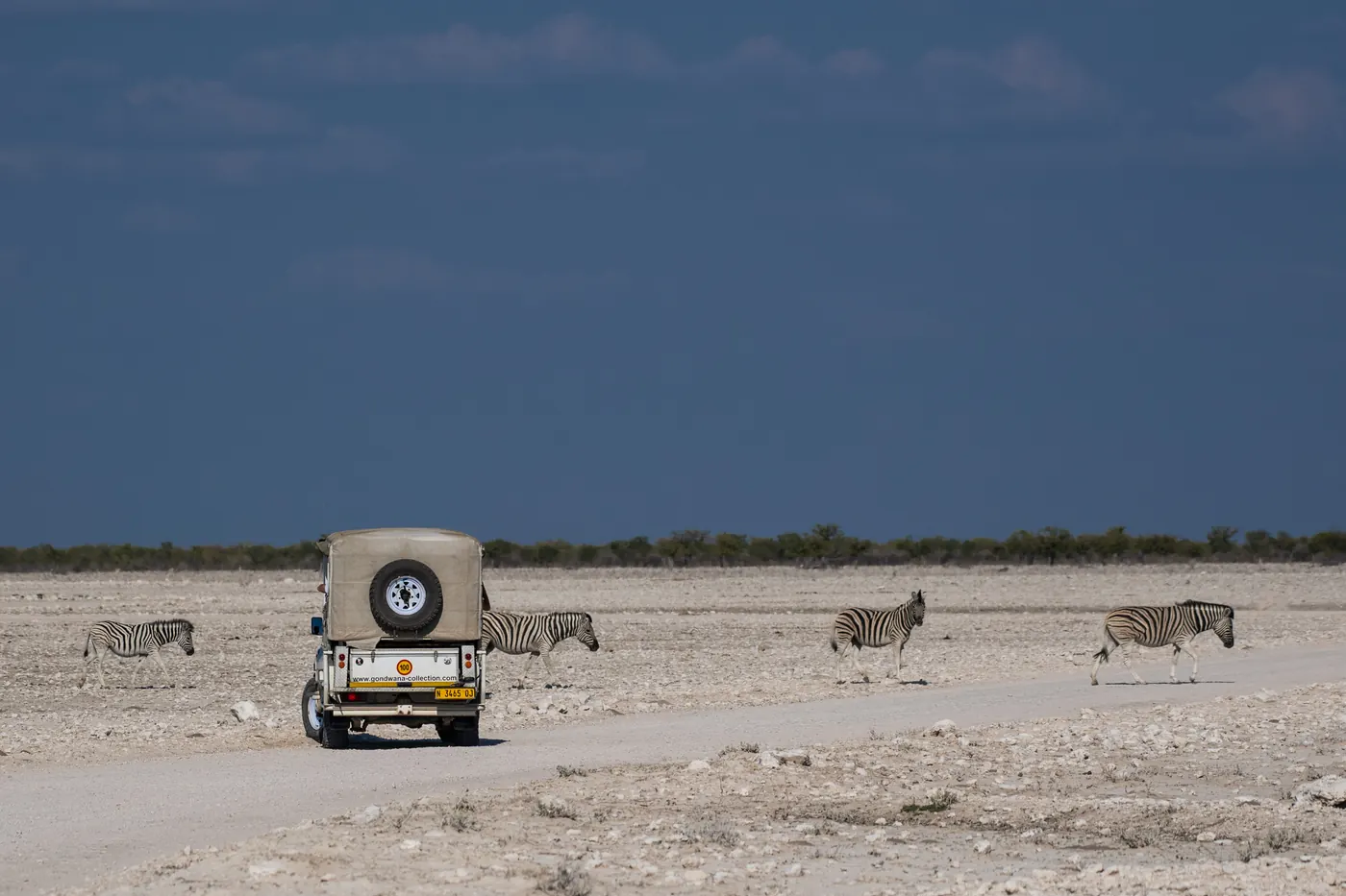 Etosha Safari Lodge - Gondwana Collection