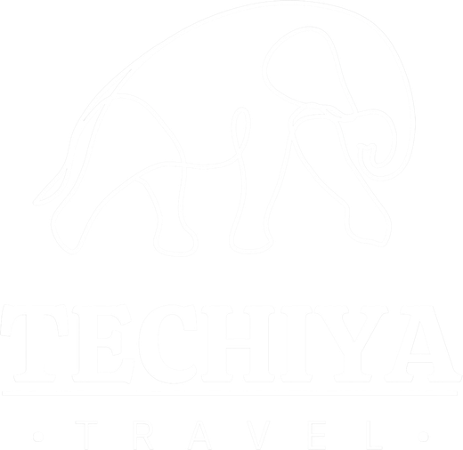 Techiya Travel