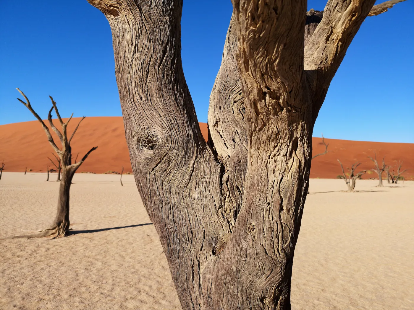 Namib Desert Lodge - Gondwana Collection