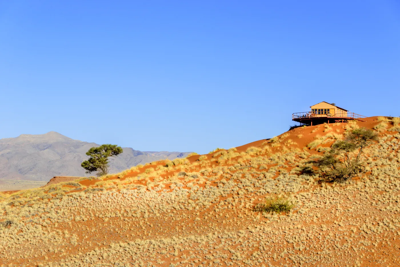 Namib Dune Star Camp - Gondwana Collection