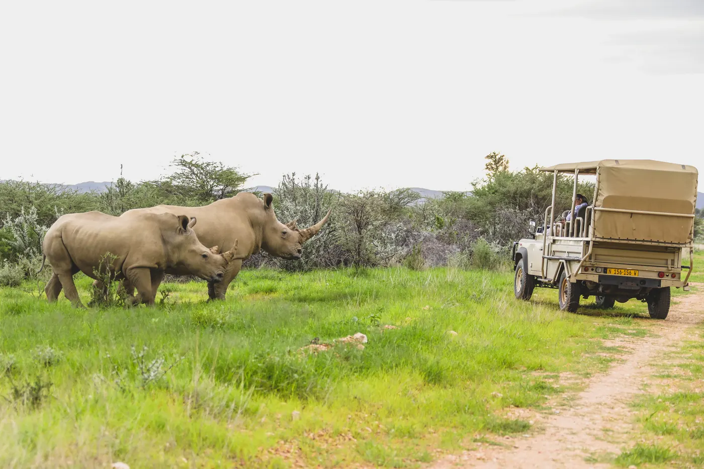 Okapuka Safari Lodge - Gondwana Collection